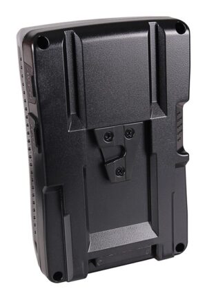 Batteria Berenstargh per Sony BP-190WS - immagine 2